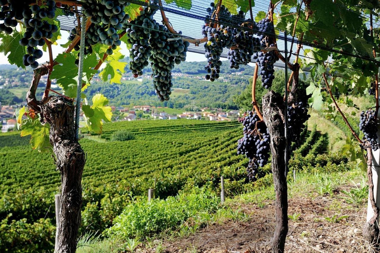 Conca Bella Boutique Hotel & Wine Experience Vacallo Exterior photo